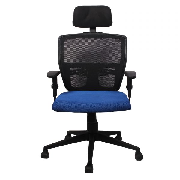 Blue Mesh Headrest Chair
