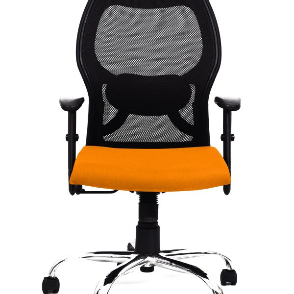Orange Mesh Lumbar Chair