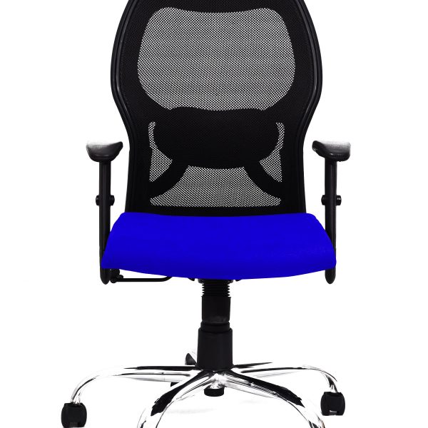 Blue Mesh Lumbar Chair