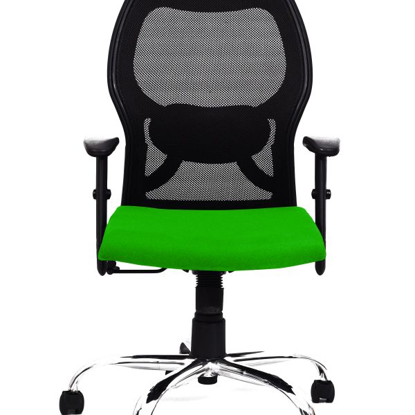 Green Mesh Lumbar Chair