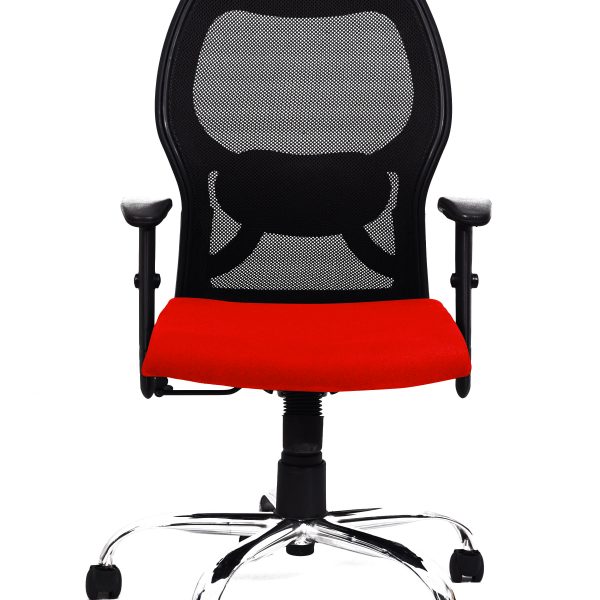 Red Mesh Lumbar Chair