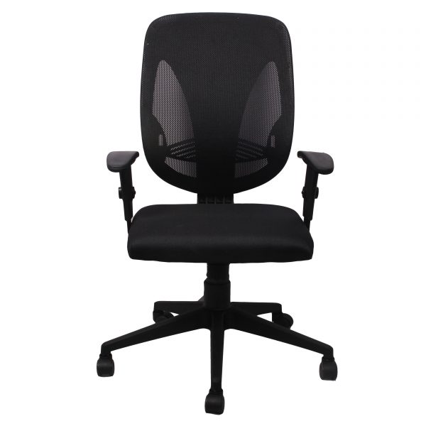 Dual Curve Ergo Chair