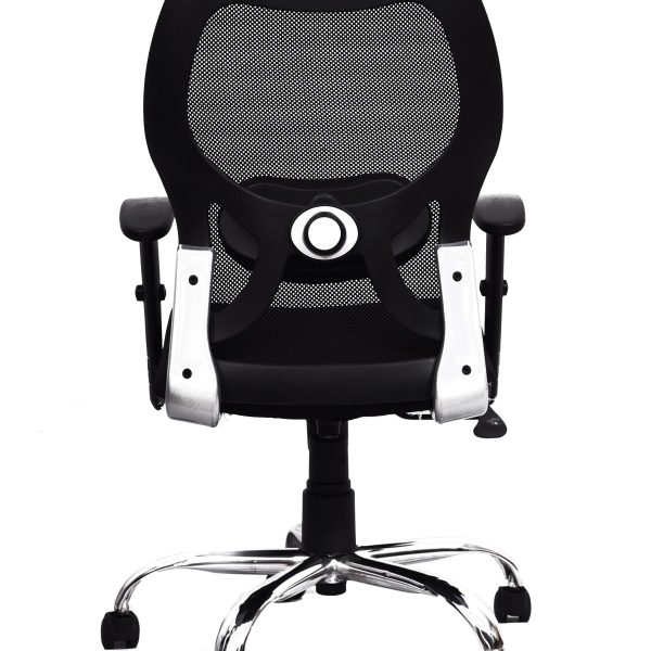 Mesh Lumbar Chair